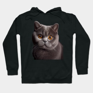 British Shorthair Cat - A Sweet Gift Idea For All Cat Lovers And Cat Moms Hoodie